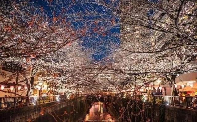Sakuranomiya Hotel Osaka Ngoại thất bức ảnh